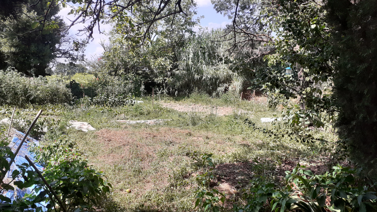 Image_, Appartement, Abeilhan, ref :1230