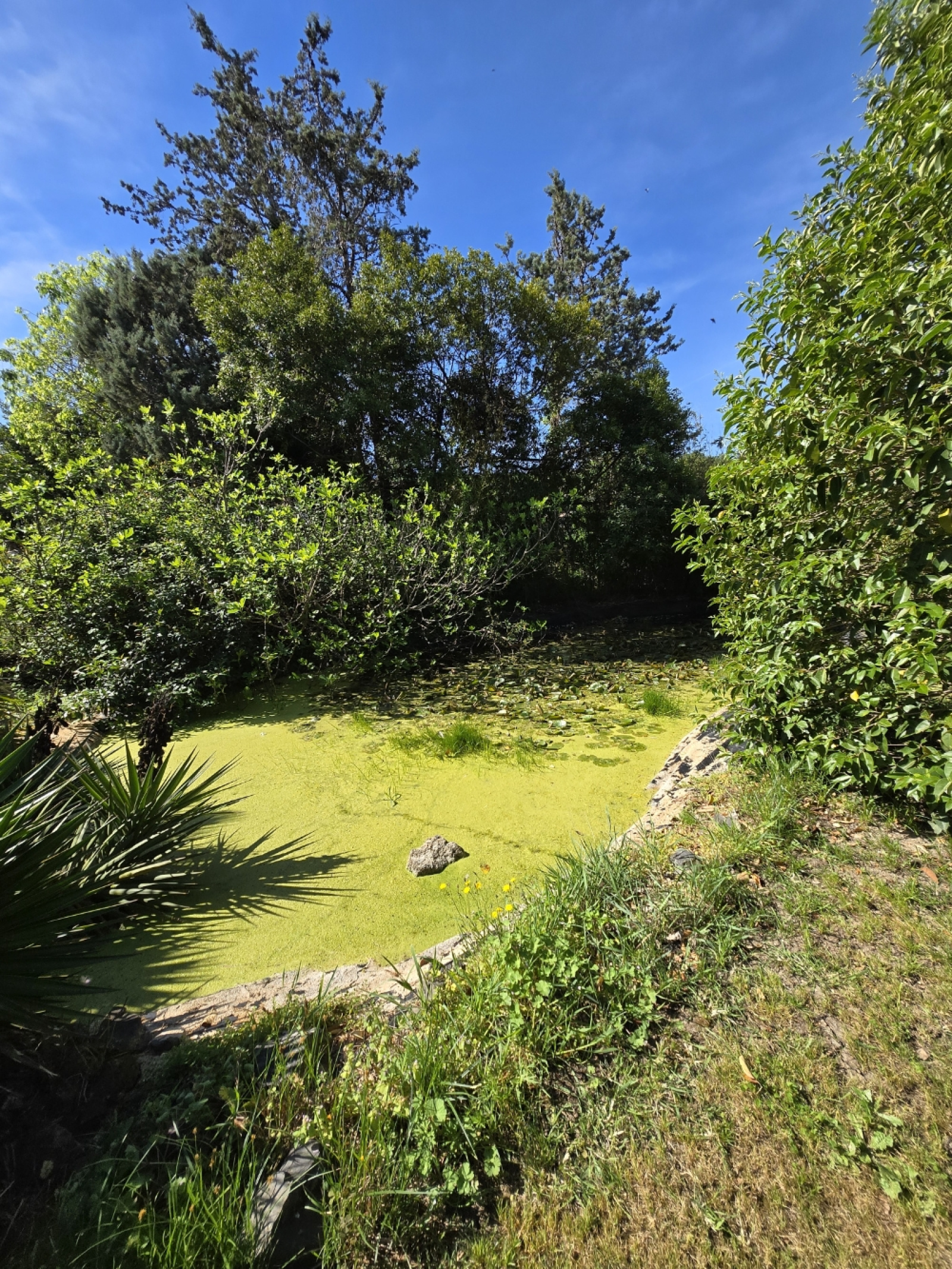 Image_, Villa, Lézignan-la-Cèbe, ref :526