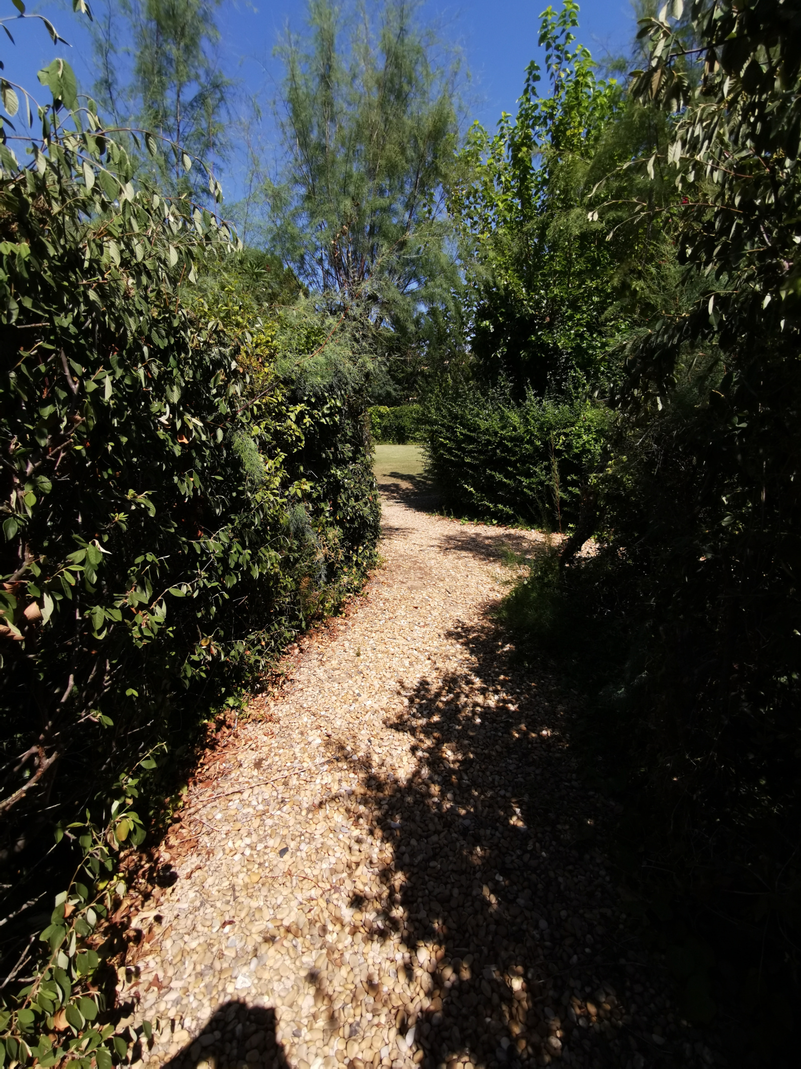 Image_, Maison, Florensac, ref :523