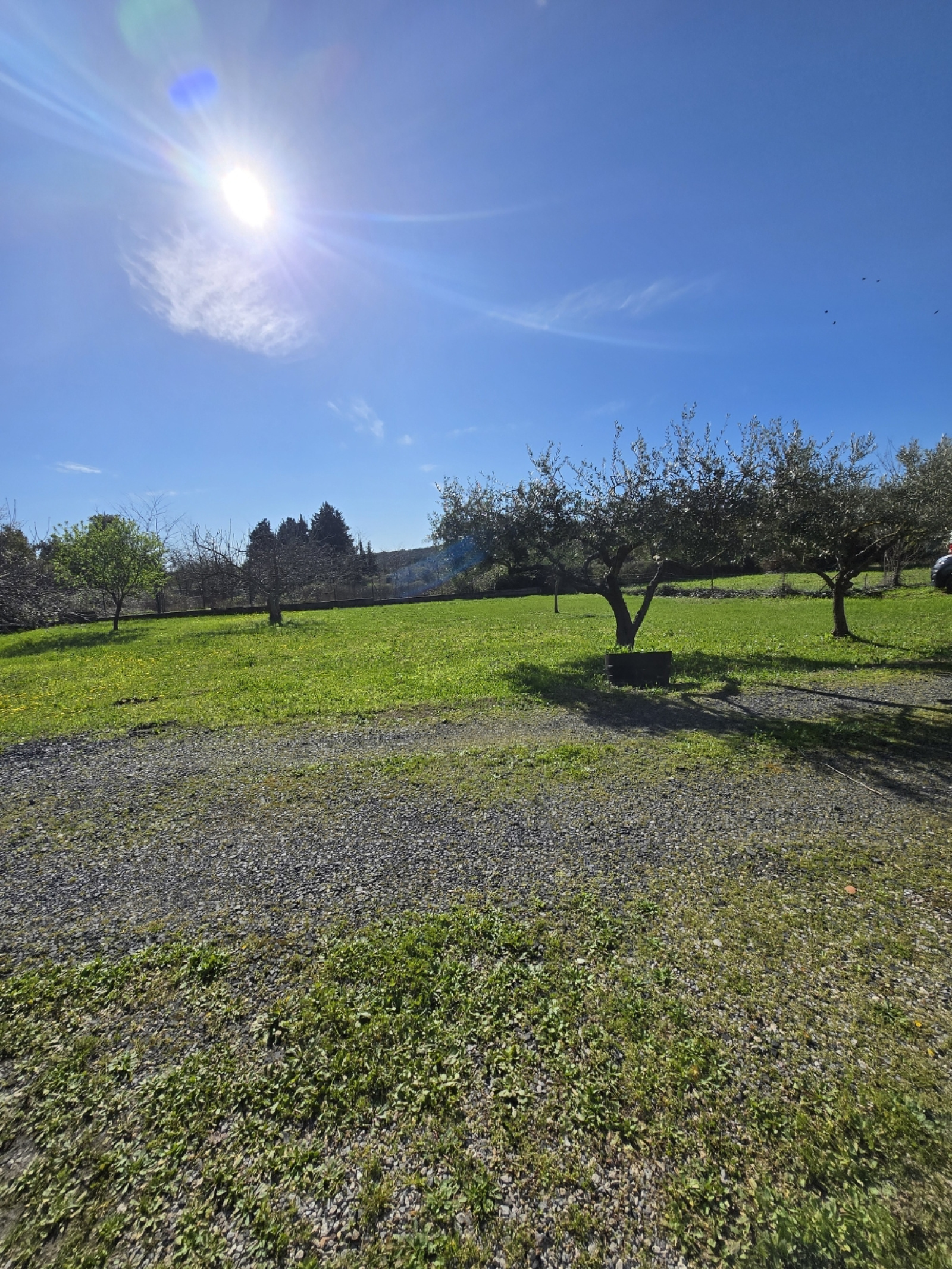 Image_, Villa, Nizas, ref :433