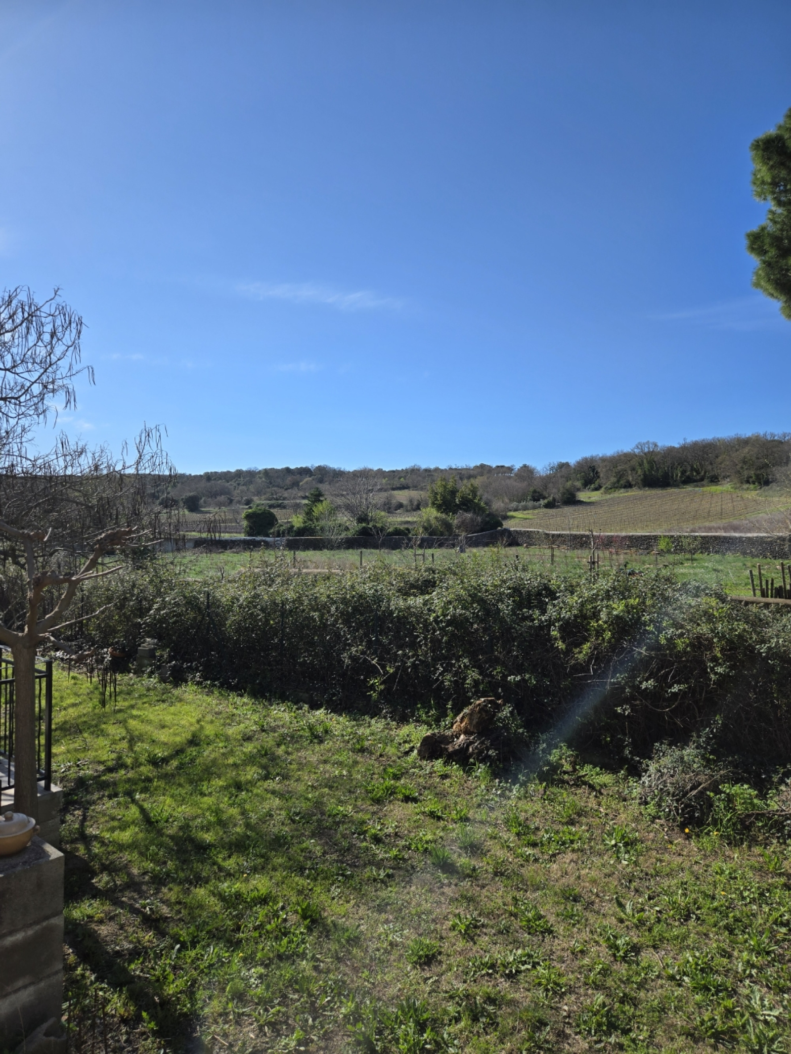 Image_, Villa, Nizas, ref :433