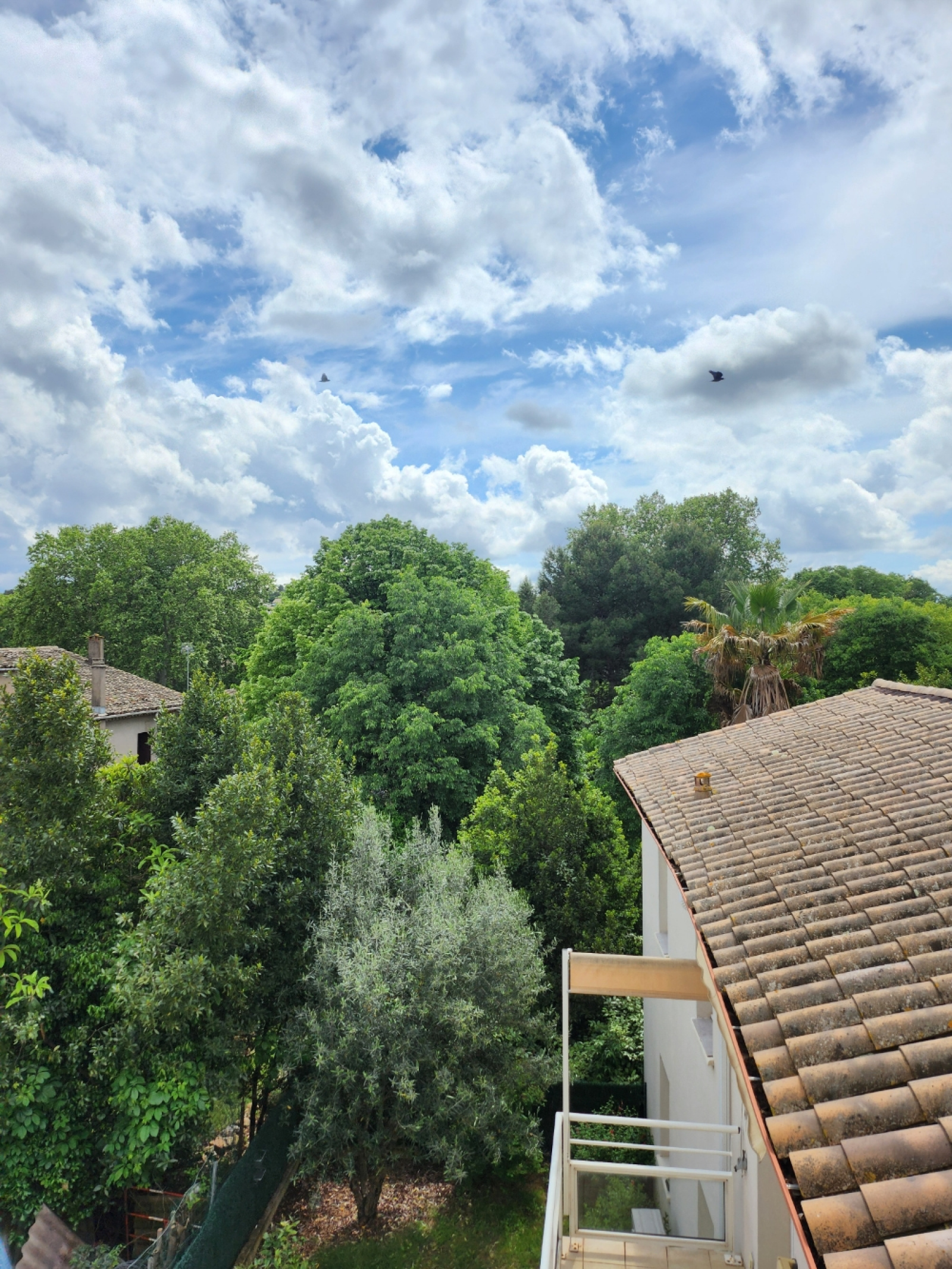 Image_, Appartement, Montagnac, ref :17