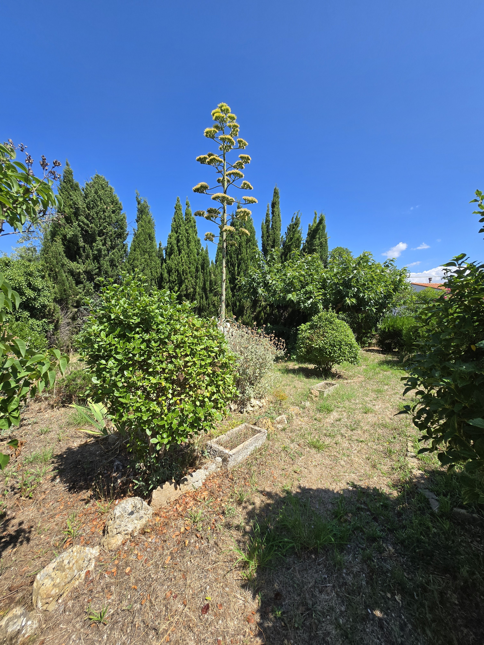 Image_, Villa, Pézenas, ref :316