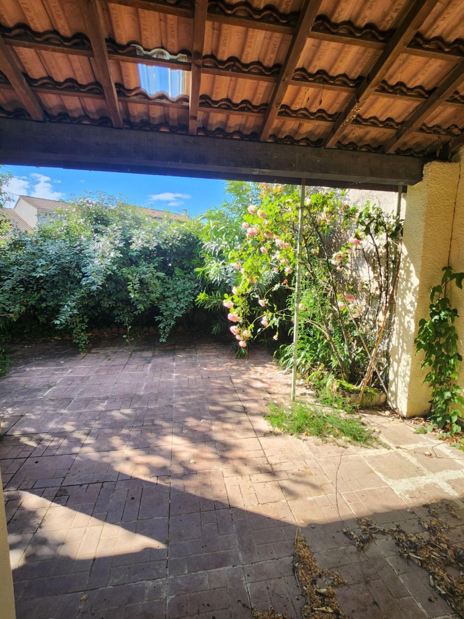 Image_, Appartement, Pézenas, ref :505
