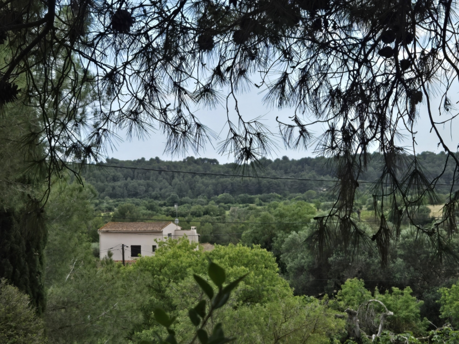 Image_, Terrain à batir, Castelnau-de-Guers, ref :1701vt